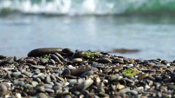 Nahaufnahme Vom Kieselstrand Sommernachmittag Wellen Von Meerwasser Plätschern Gegen Glatte — Stockvideo