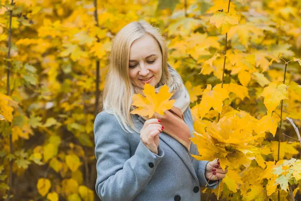 Eine Frau Hält Einem Park Vor Baumkronen Ahorngelbe Blätter Den — Stockfoto