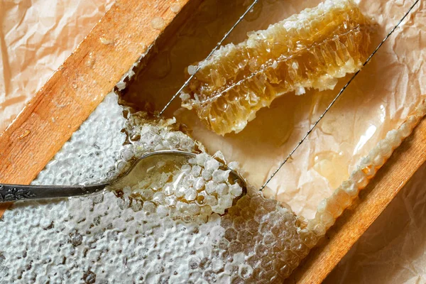 Rayon de miel scellé dans un cadre en bois avec cuillère en bois pour mélanger et déguster le miel naturel. — Photo