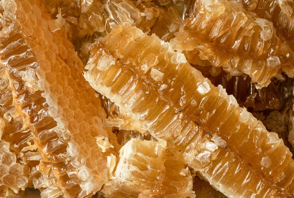 Doux nid d'abeilles avec du miel. Produits agricoles. Récolte — Photo