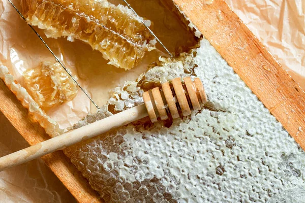 Amidon de miel scellé dans un cadre en bois avec trempette à miel en bois pour mélanger et déguster du miel naturel. — Photo