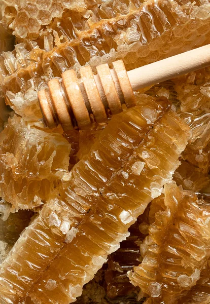 Sealed honeycomb of honey with wooden Honey Dipper for mixing and tasting natural honey. — Stock Photo, Image