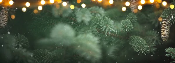 Detailní Záběr Evergreen Tree Padajícím Sněhem Světly Vánoce Nový Rok — Stock fotografie