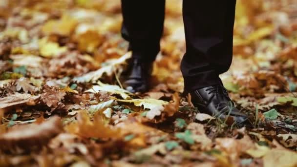 秋の森の中を歩いているスタイリッシュな男の足が近づくと — ストック動画