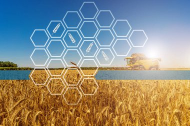 Bir tahıl tarlası ve bilgi grafikleri üzerine biçerdöver kombine edilmiş tarımsal arka plan.