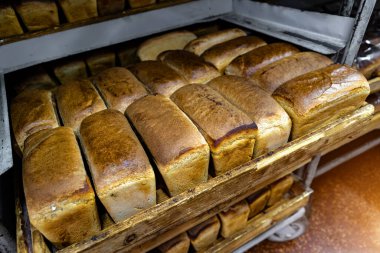 Fırından yeni çıkmış taze ekmek..