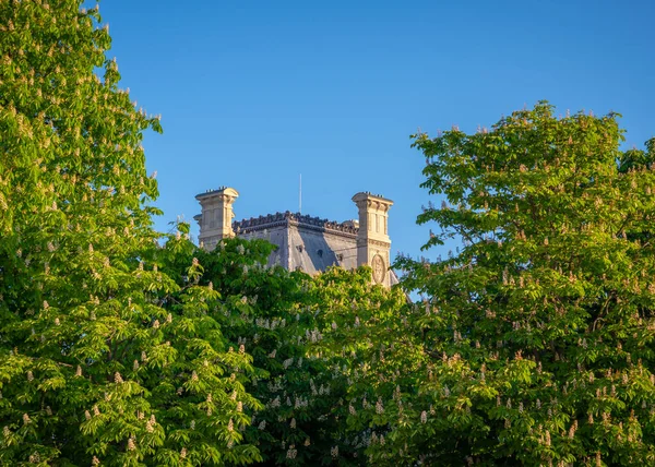Louvre Müzesi 'nin çatısı Paris' teki Tuileries bahçesinden görüldü, ön planda çiçek açan kestane ağaçları, güneşli bir bahar sabahı çekildi.
