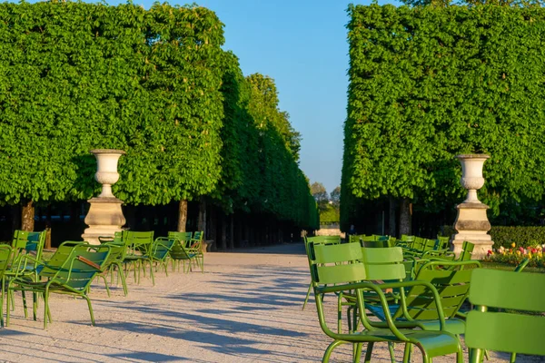 Urnes Pierre Chaises Vides Dans Jardin Des Tuileries Paris Long — Photo