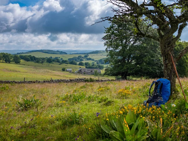 Fransa 'nın orta kesimindeki St. James Yolu' ndan izlenen kırsal ve otlaklar, patikanın kenarında bir sırt çantasıyla kısmen güneşli bir yaz öğleden sonrasında Fransa 'nın Aubrac platosunda çekildi.