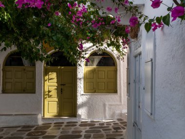 Ios, Greece - July 31, 2021: A typical greek village street scene with white wall, yellow doors and windows and colorful overhanging bougainvillea wine. Taken at the end of a sunny summer day.