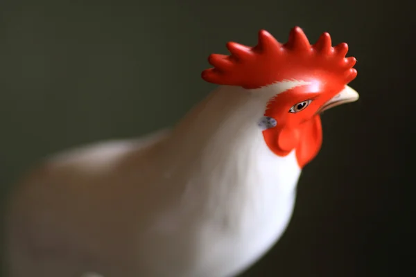 A cock of ivory — Stock Photo, Image