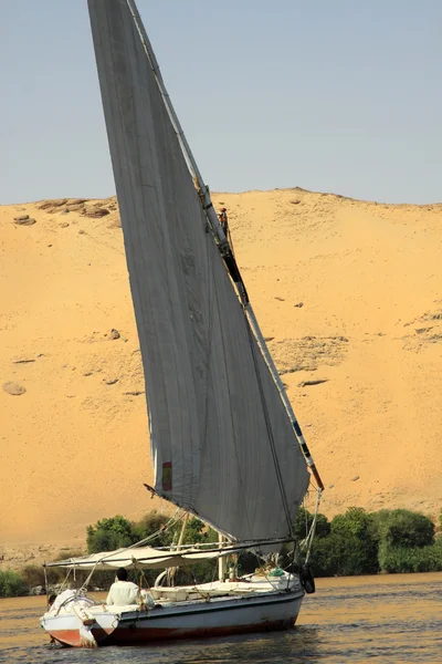 Poušť v Egyptě — Stock fotografie