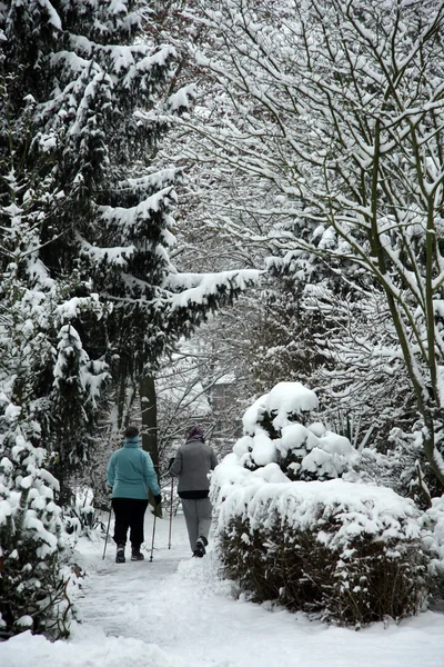 Nordic Berjalan — Stok Foto