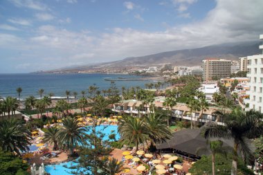 Kanarya Adası tenerife