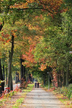 Long walks during the autumn clipart