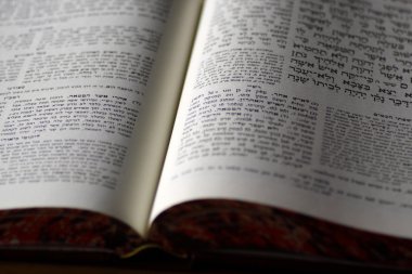 Kutsal kitap