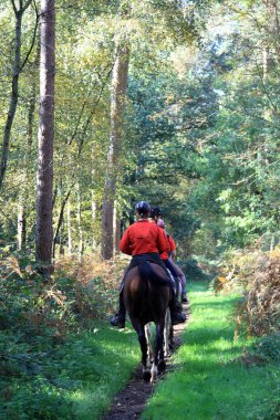 Equitation