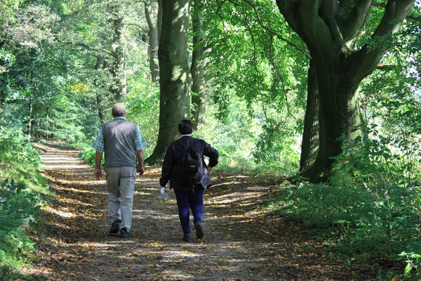 Les couples âgés marchent ensemble dans le groupe — Photo