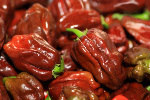 Red hot peppers — Stock Photo, Image