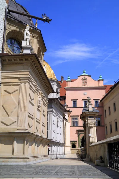 Κάστρο Wawel και catedral στην Πολωνία Κρακοβία — Φωτογραφία Αρχείου