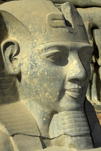 Рамзеса або фараон — стокове фото