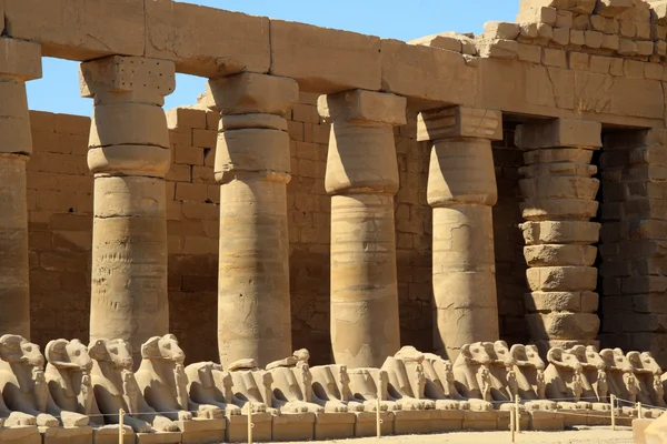 Cultuur van egypth — Stockfoto