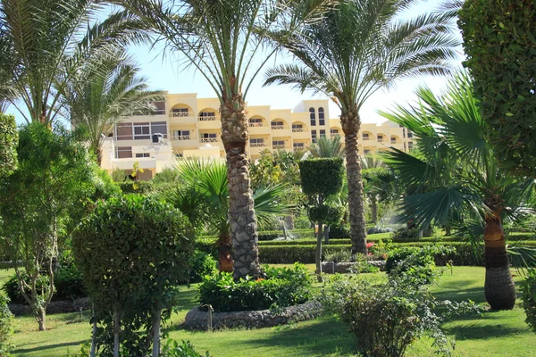 Egypte tatil beldelerinden — Stok fotoğraf