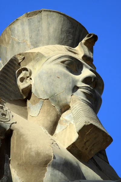 Фараон — стоковое фото