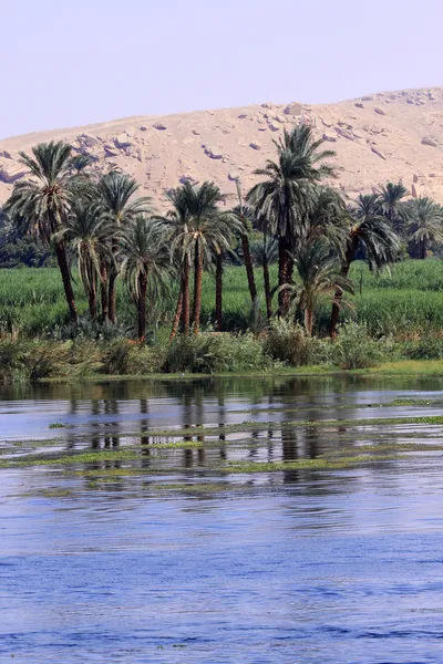 Nile en woestijn van Egypte — Stockfoto