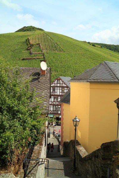 Heuvels met druiven voor wijn productie — Stockfoto