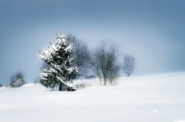 Paisaje de invierno 2013-002 — Foto de Stock
