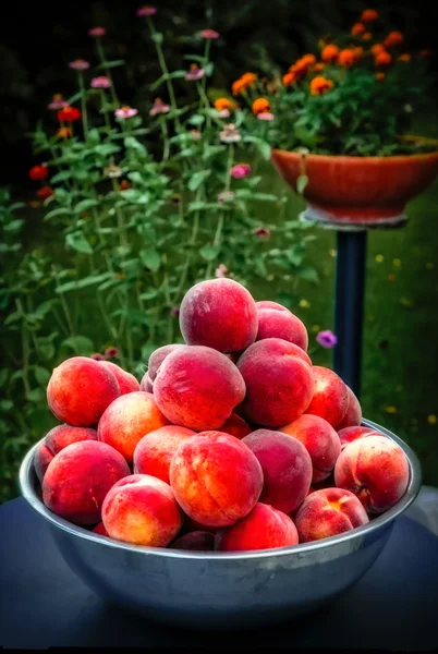 Pesche dolci fresche — Foto Stock