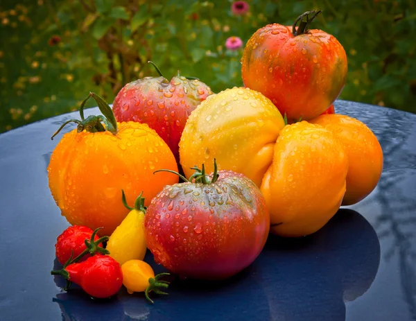 Tomatoes — Stock Photo, Image