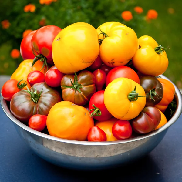 Tomatoes — Stock Photo, Image