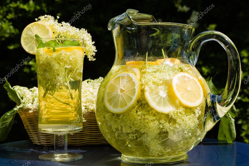 Boisson Fleur De Sureau Photographie Dagobert1620 46776023