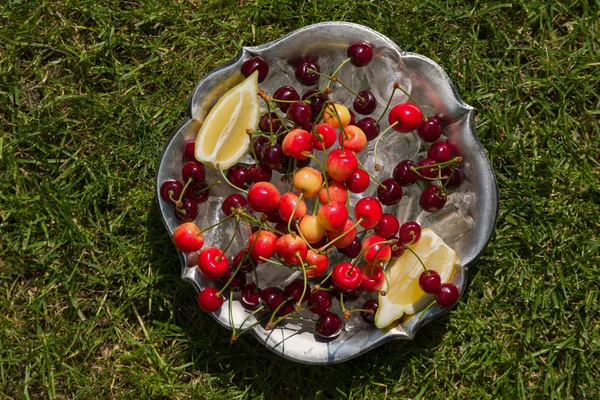 Cherries in the garden — Stock Photo, Image