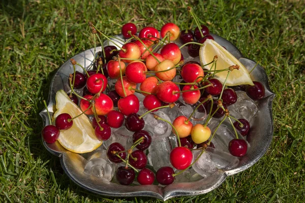 Cerezas en el jardín —  Fotos de Stock