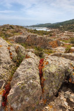 İzleme Kulesi Torre di Porto Scudo, Sardinya Adası, İtalya