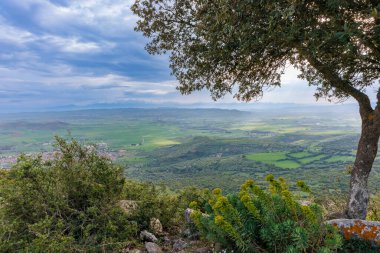 İtalya 'nın Sardunya adasındaki Parco della Giara doğa koruma alanında.