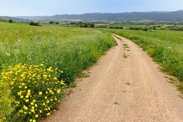İtalya 'nın Sardunya adasının geniş çayırlarında çiçek bolluğu.