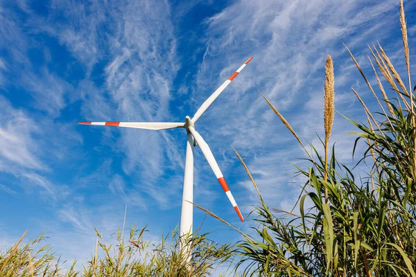 Wind Power Park City Portoscuso Island Sardinia Italy Stockbild