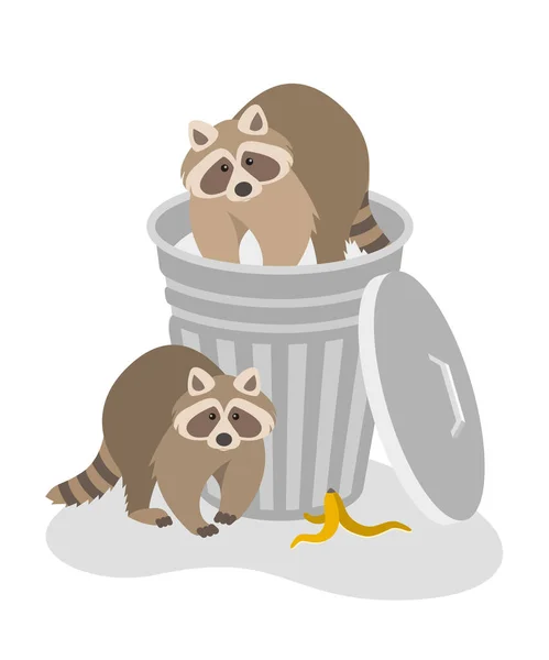 Raccoons Steal Household Rubbish Street Trash Can Wildlife Control Pest — Vetor de Stock