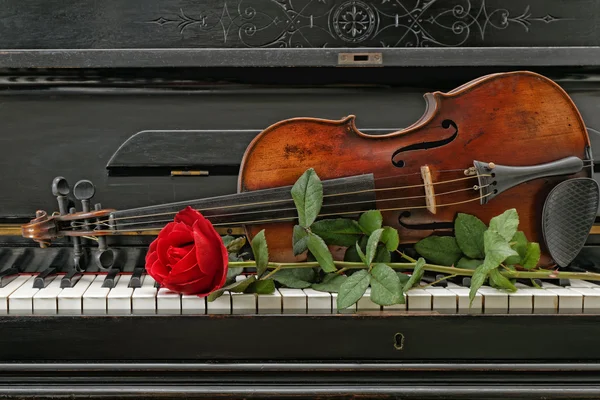 Violon piano rose — Photo