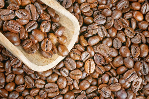 Kaffebönor trä scoop — Stockfoto
