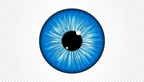 Blue Eye Iris Vector Format — Stockvektor