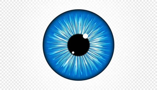 Blue Eye Iris Vector Format — Stock vektor