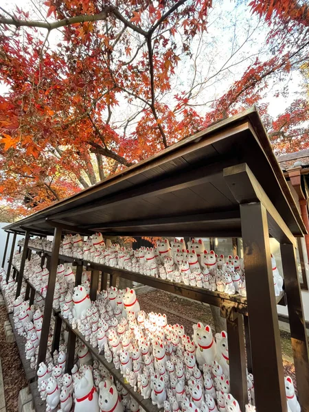 Сэтагая Япония Декабря 2021 Года Храм Готокудзи Районе Сэтагая Токио — стоковое фото