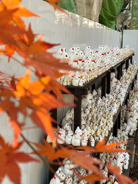 Setagaya Ιαπωνία Δεκεμβρίου 2021 Ναός Gotokuji Στο Θάλαμο Setagaya Του — Φωτογραφία Αρχείου