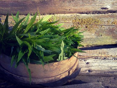 Yeşil yapraklı ahşap kase. Eski odunların arka planına karşı yosun. Şifalı bitkiler. Kırsal tarzda. Bitkisellik. 