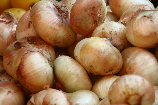 Onions — Stock Photo, Image